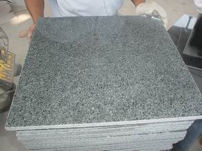 White beauty granite tiles