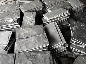 slate stone mushroom